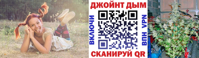 хочу наркоту  Коммунар  Шишки марихуана гибрид 